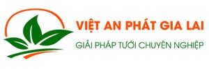 logo website việt an phát