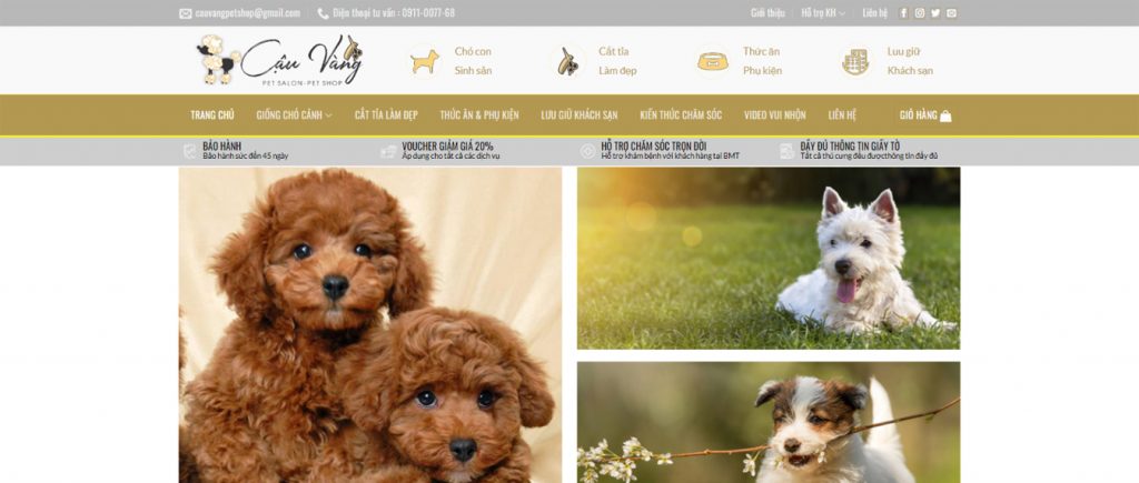 Dự án website thú cưng màu vàng xám sang trọng