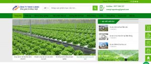 Dự án thiết kế website màng nhà kính màu xanh tự nhiên