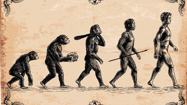 Bức vẽ nổi tiếng mang tên The March Of Progress mô tả quá trình tiến hóa của con người. Ảnh: Getty.